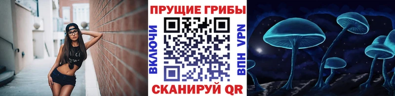хочу Шиханы Галлюциногенные грибы GOLDEN TEACHER